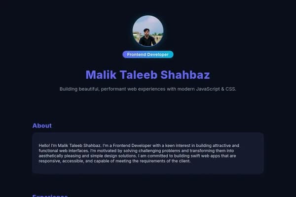 Custom portfolio website development — professional web developer showcase project