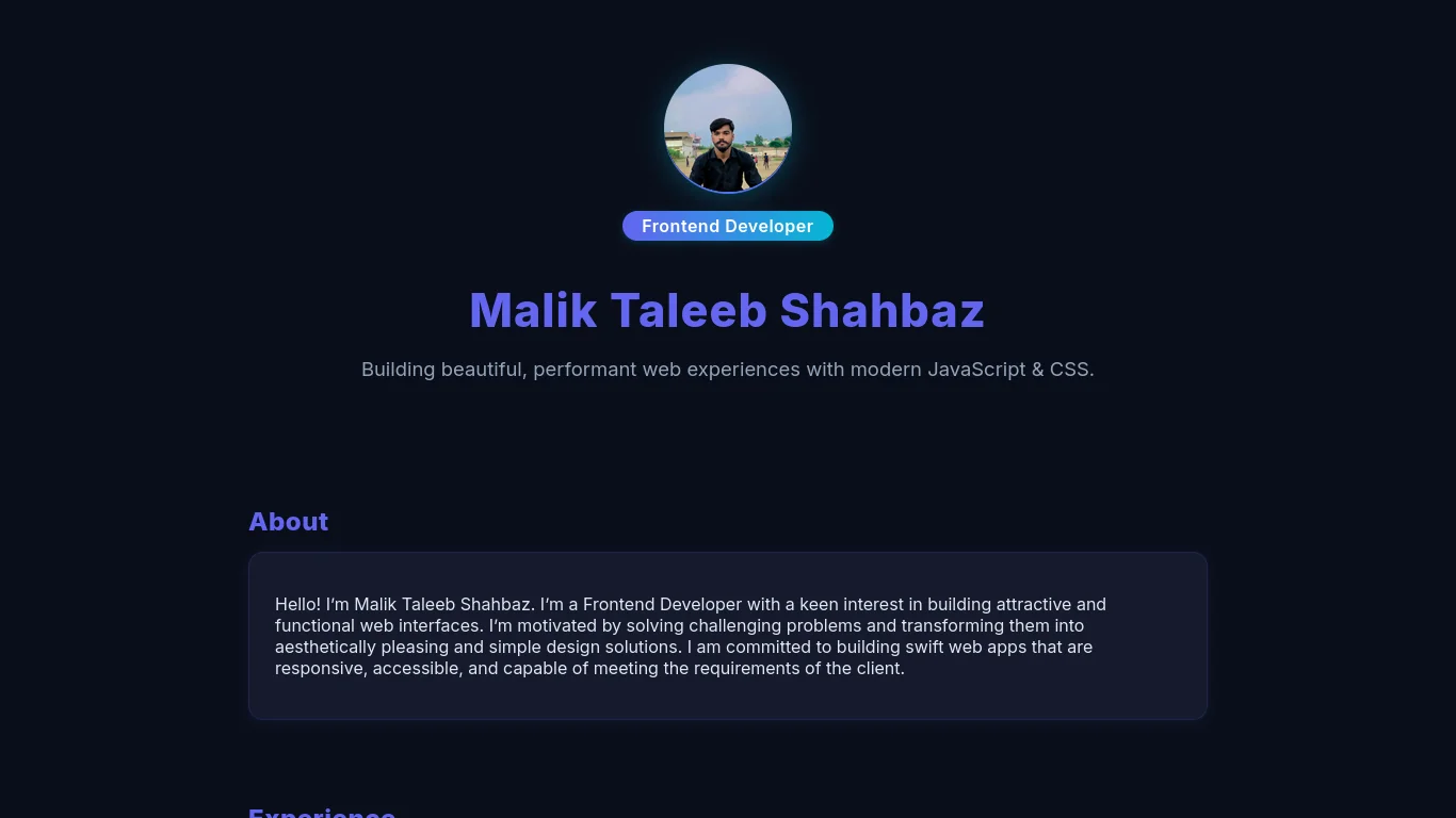 Custom portfolio website development, modern web designer showcase